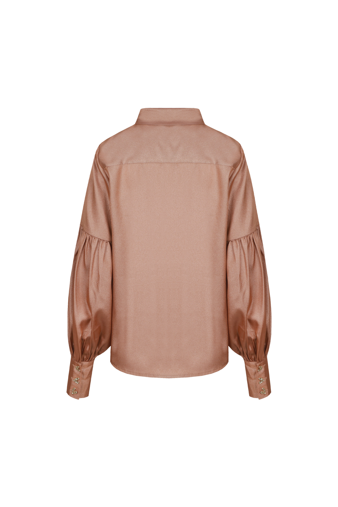 Fluresk gouden blouse glans model Carlijn gold