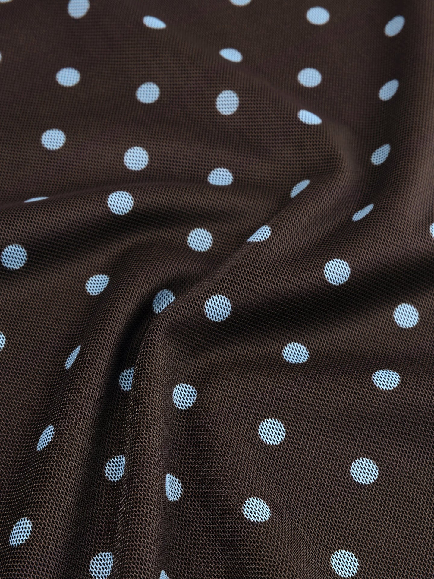 Ydence longsleeve polka dot bruin met blauwe stippen model Top Bailey Brown