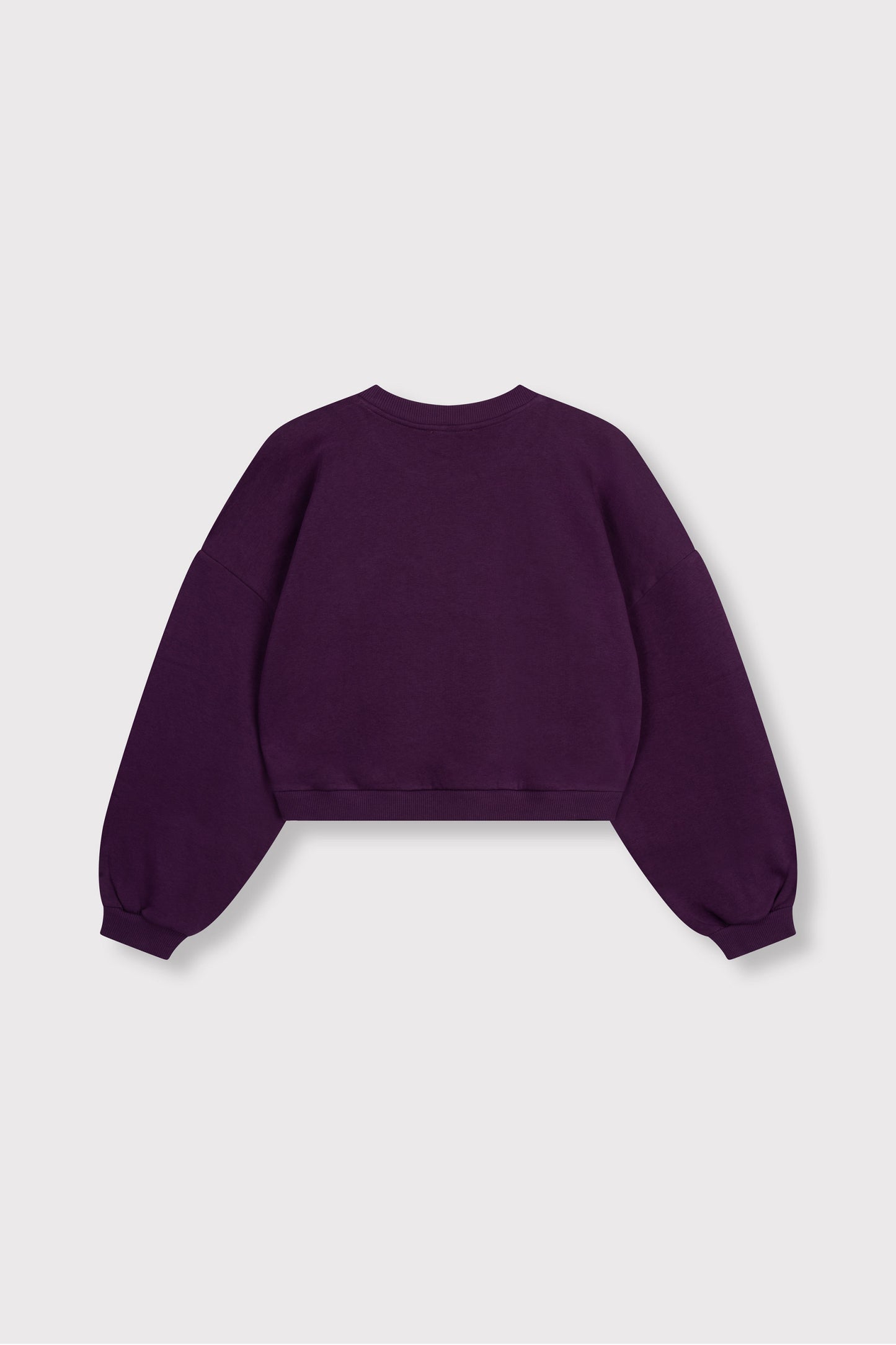 Refined Department sweater aubergine plum model ladies knitted oversized sweater FEDDY
R2609619115