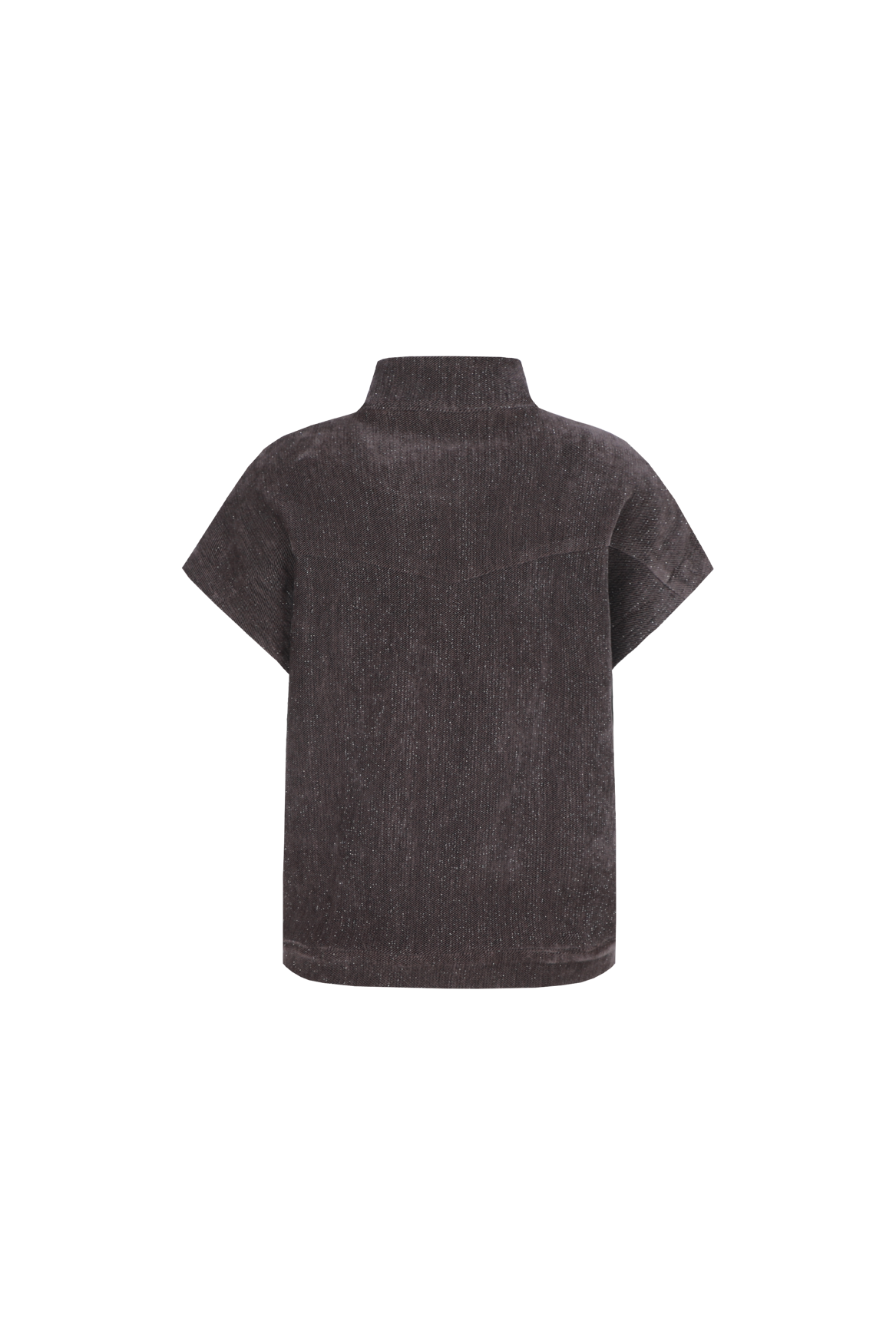 Fluresk velvet grijs strass gilet model Brooke muted grey