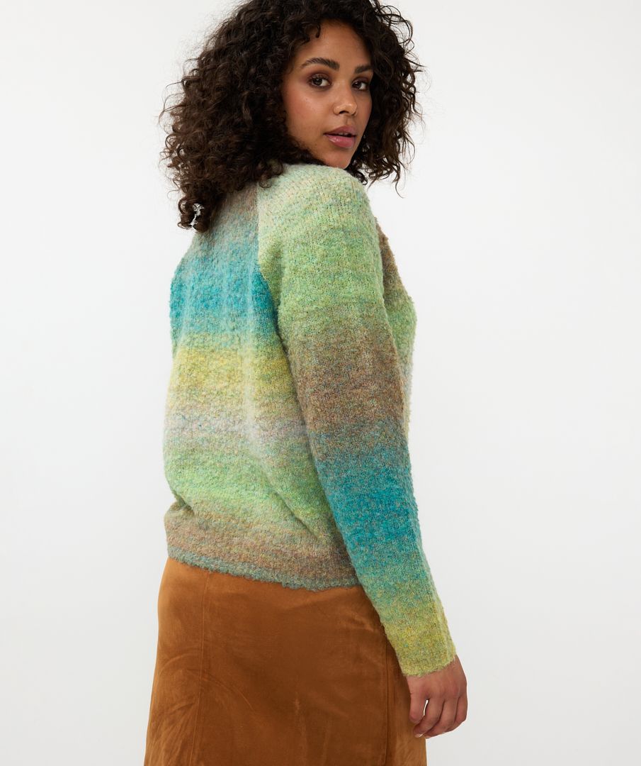 Esqualo trui groen model sweater multicolor