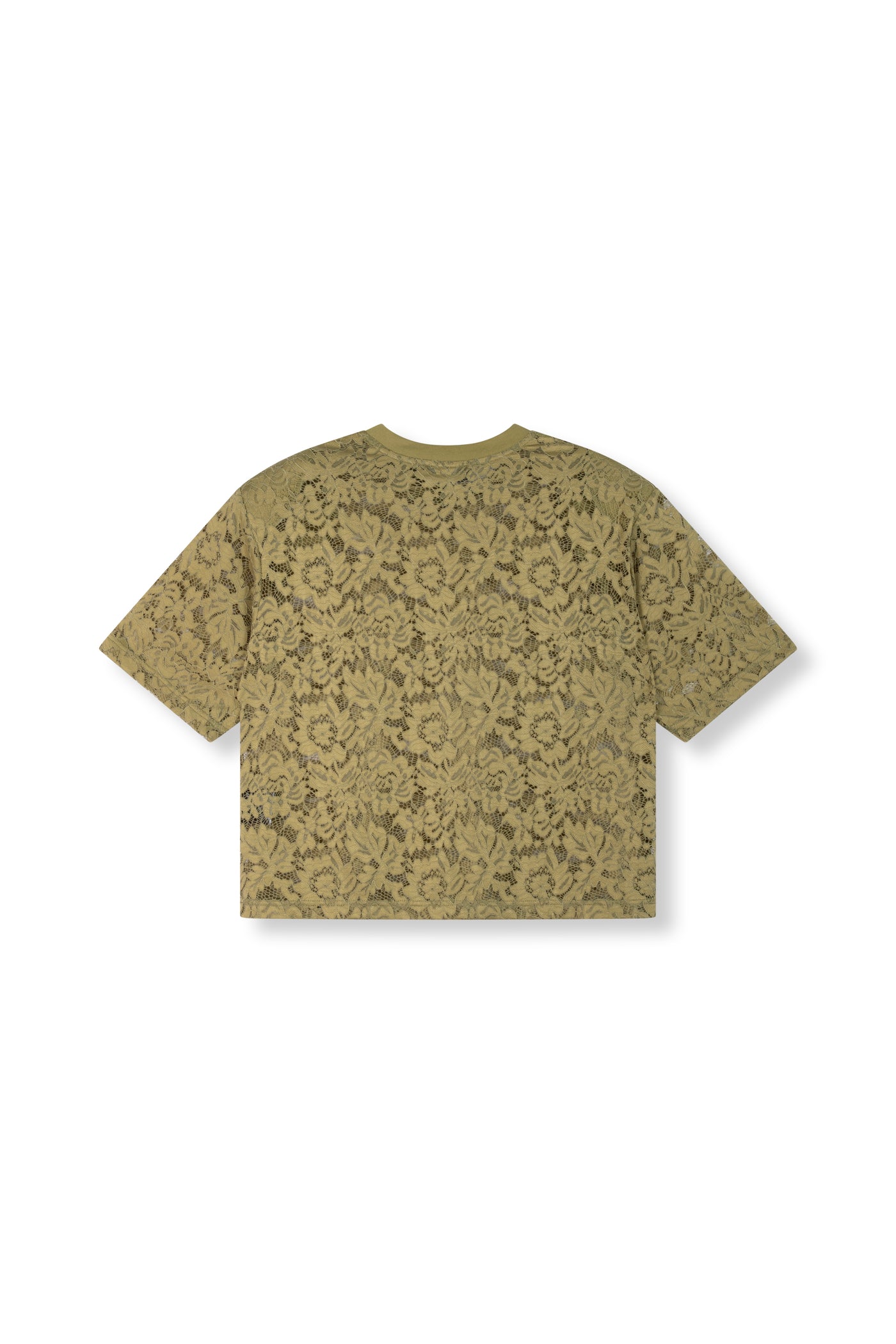 Refined Department lace kanten shirt groen model Angie T-SHIRT Army
